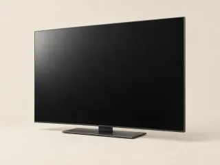 65" 4K OLED 120Hz TV — TV / Monitor option for a GTA 6 setup